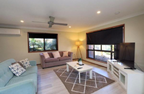 12 Wilfred Street